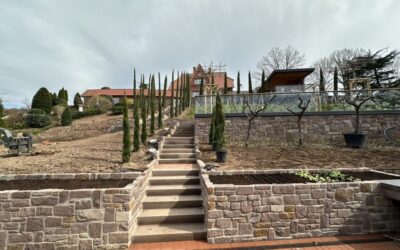 Teppen-, Mauerbau und Natursteinarbeiten